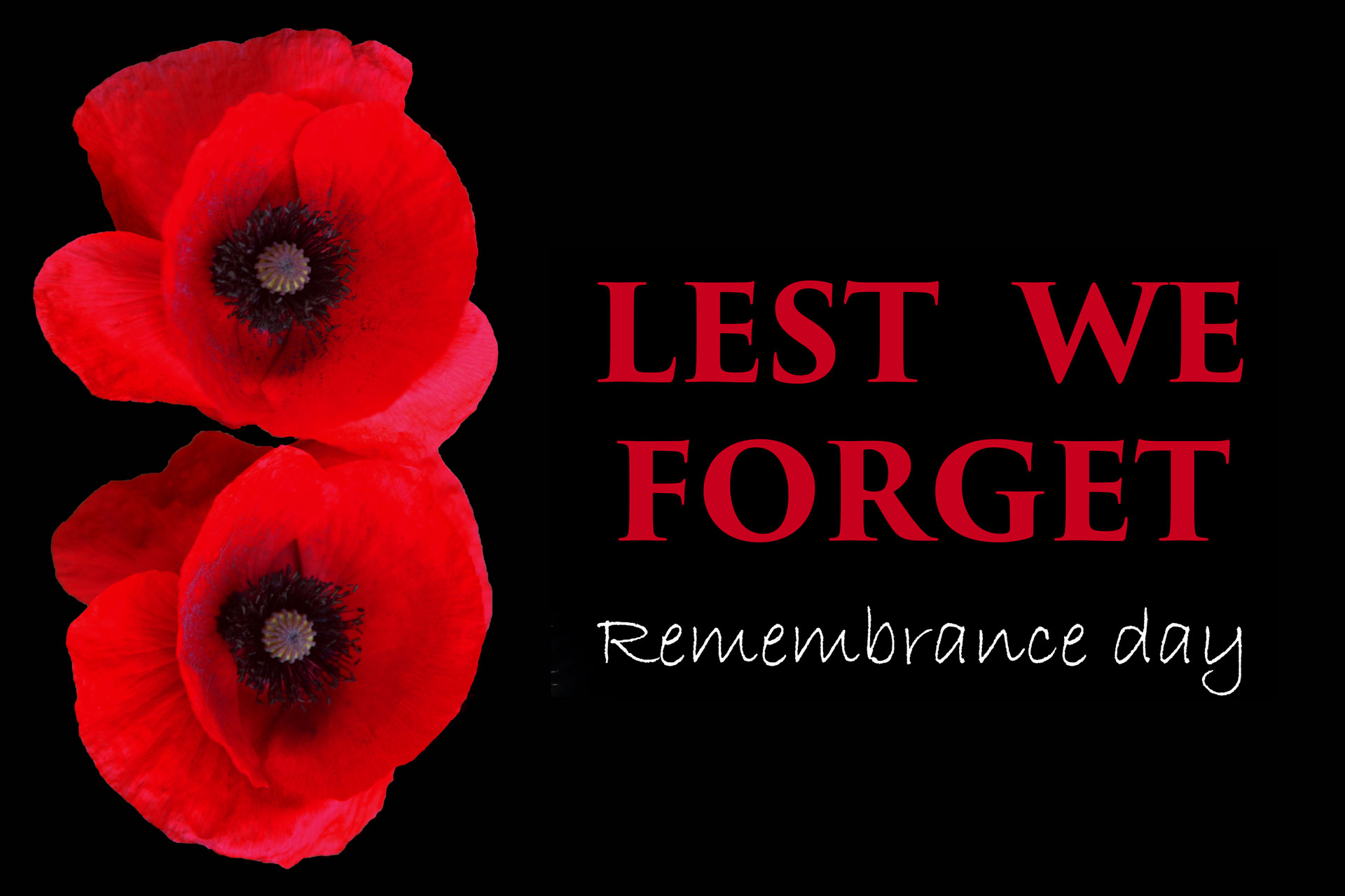 remembrance-day-2022-lest-we-forget